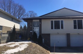 83 Daphne cres lower